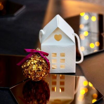 Žaisliukas su nameliu